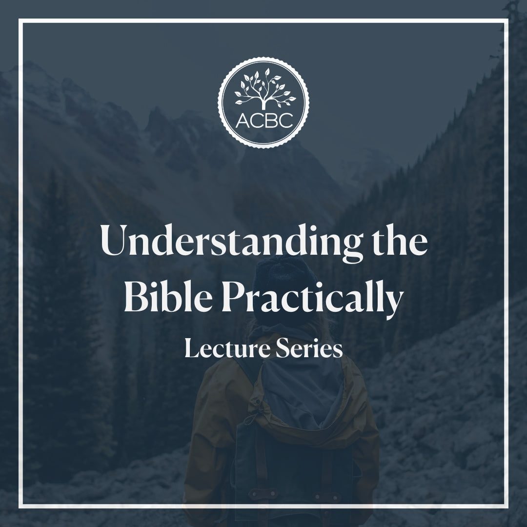 Understanding the Bible Practically - Lecture Series