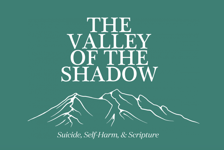 2019: Suicide, Self-Harm, and Scripture